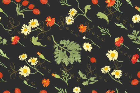 Illustration for A seamless pattern with colored flower parts and words which tilted in one direction and isolated on the black background. Hand-drawn parts of the marigold, calendula, chamomile, and rose fruits. - Royalty Free Image
