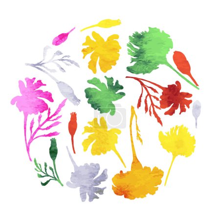 Illustration for Round composition created with plants or herbals, flowers, and fruits. Neatly arranged plant parts with watercolor texture. Design element for web or print usage. - Royalty Free Image