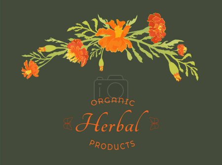 Illustration for Floral composition from hand-drawn garden plants made as a prolonged, slightly arched-down bouquet or border. Delicate herbal plants for cosmetic products. Sample text for floral product label. - Royalty Free Image