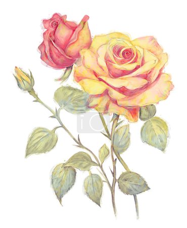 Téléchargez les photos : Fleurs roses et jaunes, Aquarelle Peinture numérique isolée sur fond blanc. - en image libre de droit