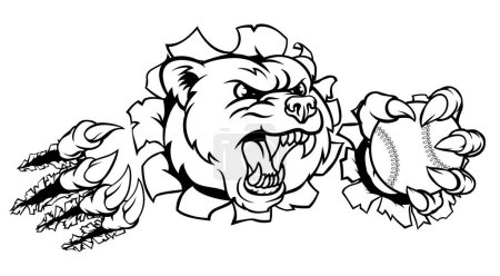 Illustration for A bear angry animal sports mascot holding a baseball ball and breaking through the background with its claws - Royalty Free Image