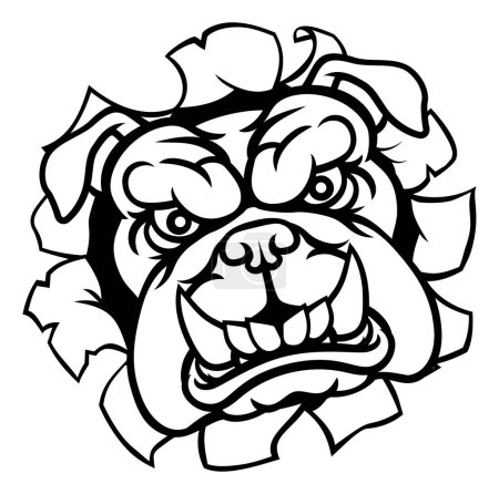 Ilustración de Un perro bulldog medio enojado mascota de deportes de animales personaje de dibujos animados rompiendo a través del fondo - Imagen libre de derechos