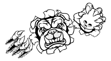 Illustration for A bulldog angry animal sports mascot holding a ten pin bowling ball and breaking through the background with its claws - Royalty Free Image