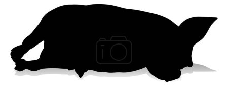 Ilustración de Una silueta de cerdo granja animal gráfico - Imagen libre de derechos