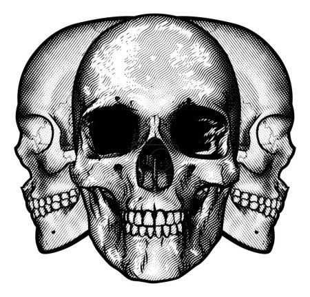 Illustration for A graphic design featuring three human skulls - Royalty Free Image