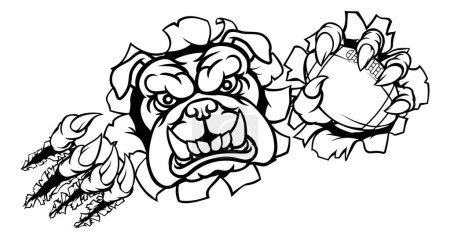 Illustration for A bulldog angry animal sports mascot holding an American football ball and breaking through the background with its claws - Royalty Free Image