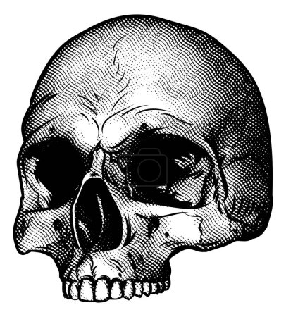 Téléchargez les illustrations : Dessin crâne dans un bloc de bois vintage rétro gravé ou gravé - en licence libre de droit