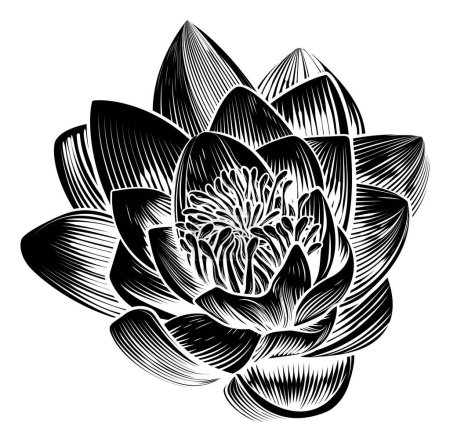 Illustration for A single water lily lotus flower in a vintage woodcut engraved etching style - Royalty Free Image