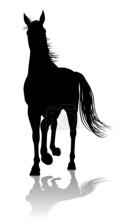 Ilustración de Un animal de caballo detallada silueta gráfica - Imagen libre de derechos