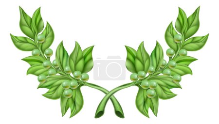 Illustration for An illustration of olive branches, the symbol of peace, crossed like a wreath - Royalty Free Image