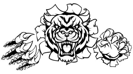 Illustration for A Tiger angry animal sports mascot breaking through the background with its claws - Royalty Free Image