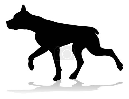 Photo for A detailed animal silhouette of a pet dog - Royalty Free Image