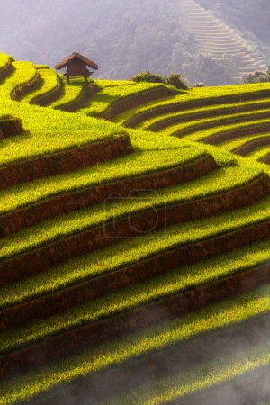 Blick von oben auf die Terrasse Reisfeld mit alter Hütte auf dem Land in Mu Cang Chai in der Nähe von Sapa Stadt, Vietnam,