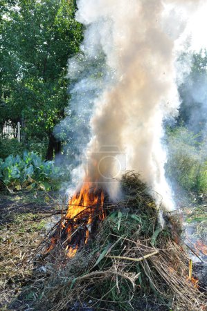 travail saisonnier dans le potager - brûlage des mauvaises herbes sèches - pollution de l'environnement