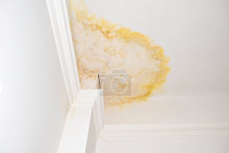 Close-up of a leak in the ceiling. consequences of a burst pipe in the upstairs. Needs immediate repair.  insurance situation. neighbors' flooding. Copy space for copy