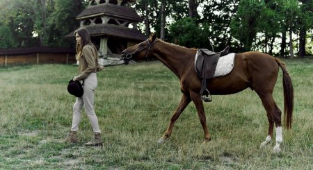 Téléchargez les photos : Jeune fille-jockey menant le cheval sellé brun par les rênes sur un champ d'herbe. Ecole de cheval, centre équestre, cours d'équitation. Promenade équestre à cheval et pâturage. Prendre soin des chevaux. - en image libre de droit