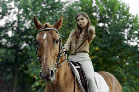 Téléchargez les photos : Monté à cheval. L'équitation, l'équitation et les sports liés au cheval favorisent le bien-être et le soulagement du stress. L'harmonie de la nature : femme, cheval, art de l'équitation, bien-être. - en image libre de droit