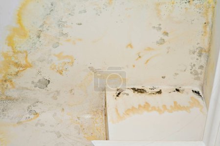 Close-up shot of the damaged ceiling with peeled whitewash, stains and mold. Restoration contractor service promoting. Flooding by neighbors. View from below. Insurance case.