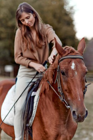 Téléchargez les photos : Au milieu des paysages ruraux, une femme se lie à son cheval sur un champ herbeux. Un portrait d'un jeune jockey met en valeur la formation à la ferme et une installation sportive de selle en plein air. Équitation, équitation - en image libre de droit