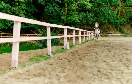 Foto de Jockey femenino en caballo gris manzana en el hipódromo. Mujer ecuestre tomando clases de equitación en la escuela de caballos. Entrenamiento de caballos, doma de caballos, ejercicio de marcha a trote. Estilo de vida activo - Imagen libre de derechos