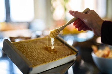 Téléchargez les photos : Woman picking honey for breakfast - en image libre de droit