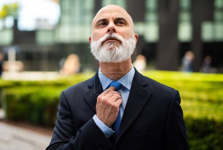 Photo for Mature bald stylish business man portrait with a white beard outdoor adjusting his necktie - Royalty Free Image
