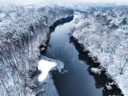 Aerial view of cold river and snowy forest in winter. Aerial view of wildlife in Poland, Europe.