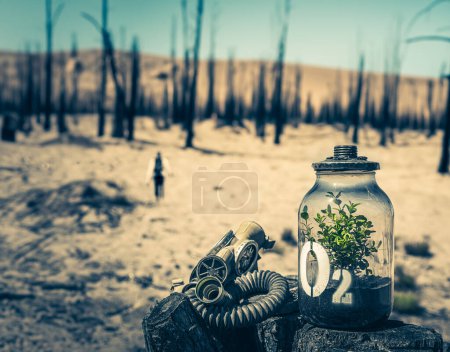 Extraño frasco con planta y máscara sobre el fondo de un bosque quemado