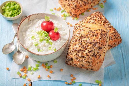 Healthy and delicious corn bun with cottage cheese and radish. Sandwich with vegetables and cheese.