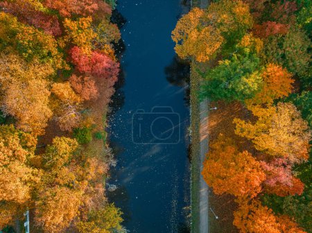 Luftaufnahme des bunten Herbstwaldes am Fluss in Bydgoszcz. Goldener Herbst in der Natur.