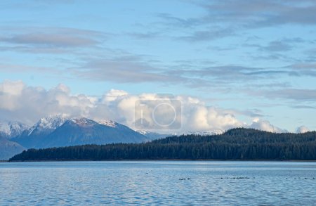 Ocean with a view of an island and mountains with a floating flock of loons in Southeast Alaska in fall.