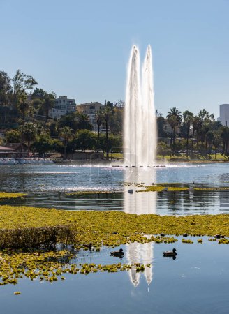 Photo for A picture of the Echo Park Lake and its geiser shooting from the middle. - Royalty Free Image
