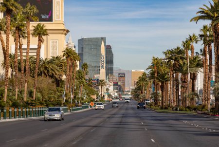 Photo for A picture of the Las Vegas Boulevard South sided with palm trees. - Royalty Free Image