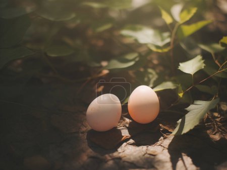 Foto de Huevos de Pascua felices en la escena del jardín, estilo vintage estético - Imagen libre de derechos