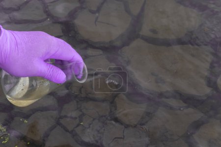 Foto de Muestra de agua del río para su análisis. Guante de mano sosteniendo un concepto de tube.ecology prueba - Imagen libre de derechos