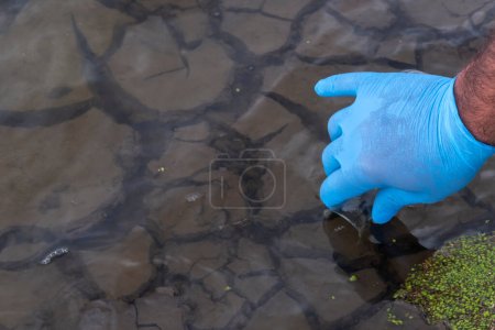 Foto de Una muestra de agua del río. La mano en el guante recoge el agua en un tubo de ensayo. concepto de ecología - Imagen libre de derechos