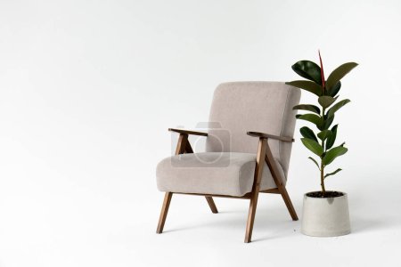 Téléchargez les photos : Intérieur moderne avec fauteuil confortable et plante sur fond blanc. - en image libre de droit
