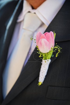 Téléchargez les photos : Plume décorative du marié d'une fleur de tulipe rose - en image libre de droit