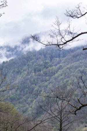 Hilltops in the clouds in Mtirala National Park, Georgia