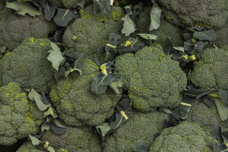 Téléchargez les photos : Brocoli frais vert vif Concept santé, légumes frais - en image libre de droit