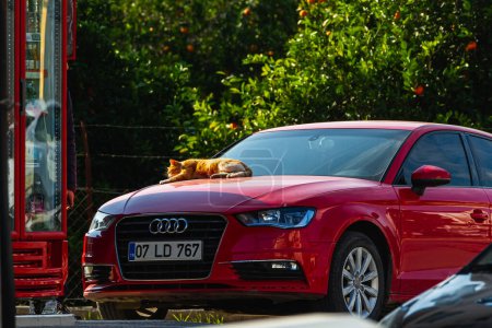 Téléchargez les photos : Côté ; Turquie 23 janvier 2023 : Audi A3 rouge se gare dans la rue un jour d'été - en image libre de droit
