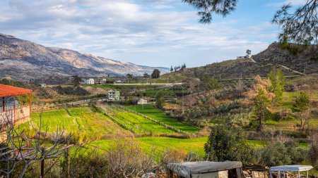 Téléchargez les photos : Vue pittoresque sur la vallée avec village agricole et plantations - en image libre de droit