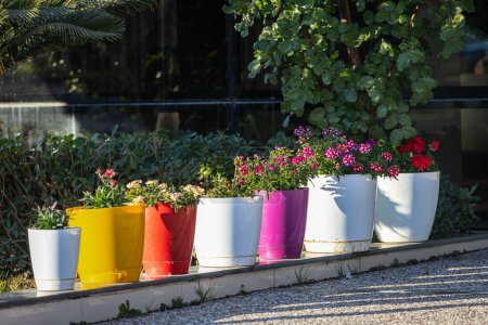 Téléchargez les photos : Gros plan de pots multicolores dans la rue - en image libre de droit
