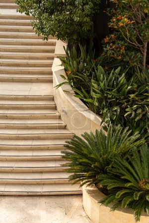 Téléchargez les photos : Des marches en pierre près d'un hôtel cinq étoiles avec un beau jardin et des palmiers - en image libre de droit