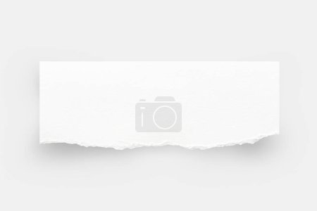 Photo for Torn paper edges. Ripped paper texture. Paper tag. White paper sheet for background with clipping path. Close up image. - Royalty Free Image