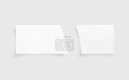 Illustration for Torn paper edges. Ripped paper texture. Paper tag. White paper sheet for background with clipping path. Vector illustration. - Royalty Free Image