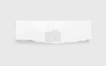 Illustration for Torn paper edges. Ripped paper texture. Paper tag. White paper sheet for background with clipping path. Vector. - Royalty Free Image
