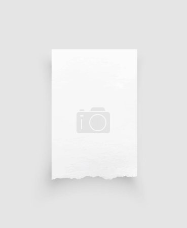 Illustration for Torn paper edges. Ripped paper texture. Paper tag. White paper sheet for background with clipping path. Vector. - Royalty Free Image
