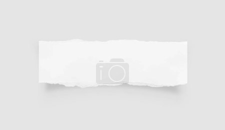 Illustration for Torn paper edges. Ripped paper texture. Paper tag. White paper sheet for background with clipping path. Vector illustration. - Royalty Free Image
