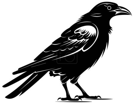 Ilustración en blanco y negro de cuervo o cuervo.